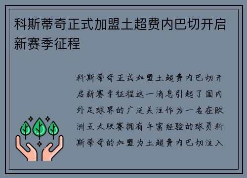科斯蒂奇正式加盟土超费内巴切开启新赛季征程